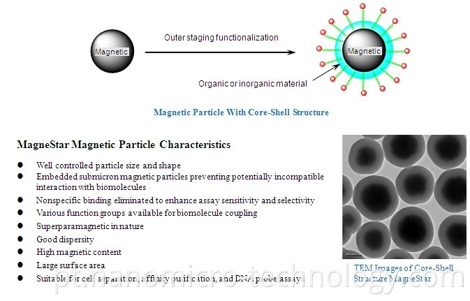 Magnetic Separation Method Buy